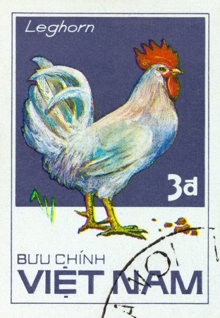 VIETNAM - CIRCA 1980: A stamp printed by Vietnam shows bird Chicken "Ri", stamp is from the series, circa 1980sの写真素材