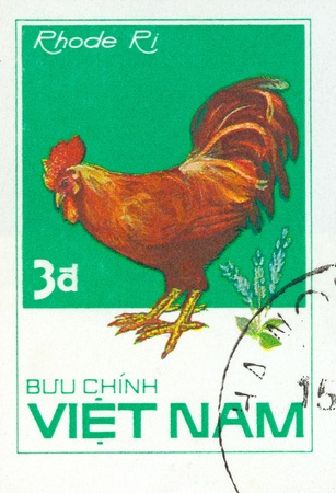 VIETNAM - CIRCA 1980: A stamp printed by Vietnam shows bird Chicken "Ri", stamp is from the series, circa 1980sの写真素材