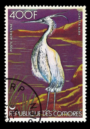 COMORES - CIRCA 1986: Postage stamp printed in Comores, shows a bird the "egretta alba", circa 1986の写真素材