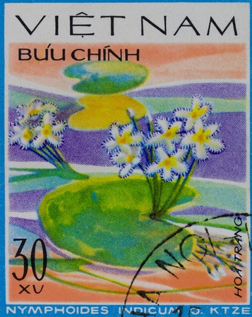 VIETNAM - CIRCA 1978: A stamp printed in Vietnam shows Nymphodies Indicum, series, circa 1978の写真素材
