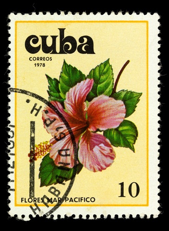 CUBA - CIRCA 1978: a stamp printed in Cuba shows image Tues flowers pacifist, series, circa 1978の写真素材