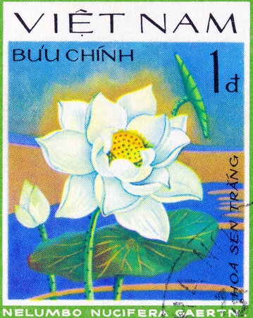 VIETNAM - CIRCA 1978: A stamp printed in Vietnam shows Indian lotus - Nelumbo Nucifera, series, circa 1978の写真素材