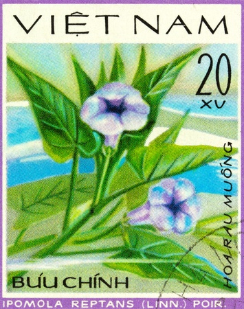 VIETNAM - CIRCA 1978: A stamp printed in Vietnam shows Ipomola Retans, series, circa 1978の写真素材