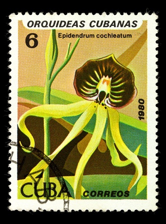 CUBA - CIRCA 1980: A stamp printed in Cuba shows Epidendrum cochleatum, series is devoted to orchids, circa 1980の写真素材