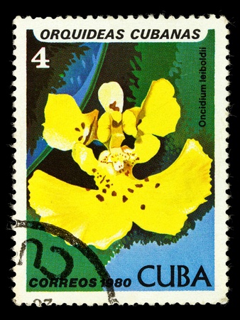 CUBA - CIRCA 1980: A stamp printed in Cuba shows Oncidium leiboldii, series is devoted to orchids, circa 1980の写真素材