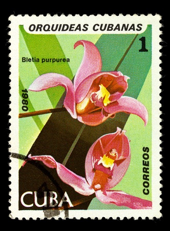 CUBA - CIRCA 1980: A stamp printed in Cuba shows Bletia purpurea, series is devoted to orchids, circa 1980の写真素材