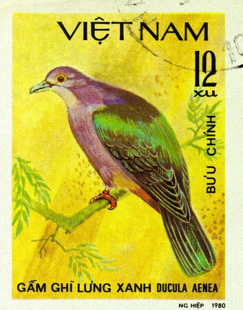 VIETNAM - CIRCA 1980: A stamp printed in Vietnam shows Green Imperial Pigeon - Ducula Aenea, series devoted to the birds, circa 1980の写真素材