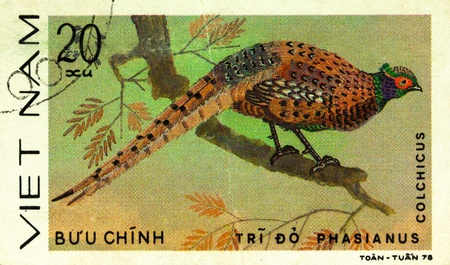 VIETNAM - CIRCA 1978: A stamp printed in Vietnam shows animal ornamental bird, circa 1978の写真素材