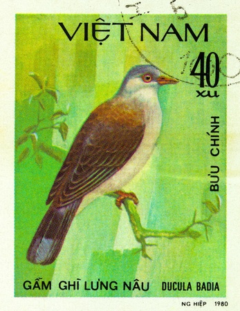 VIETNAM - CIRCA 1980: A stamp printed in Vietnam shows Mountain Imperial Pigeon or Ducula badia, series devoted to the birds, circa 1980の写真素材