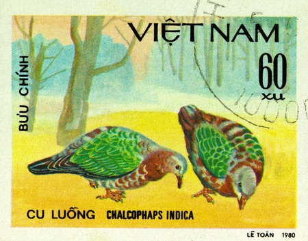 VIETNAM - CIRCA 1980: A stamp printed in Vietnam shows Emerald Dove or Chalcophaps indica, series devoted to the birds, circa 1980の写真素材