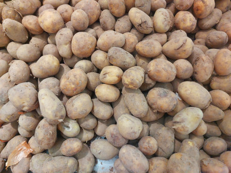 Large group of just harvested new potatoes at local farmers marketの写真素材
