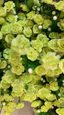 view yellow rose flowers, Selective focus.の写真素材