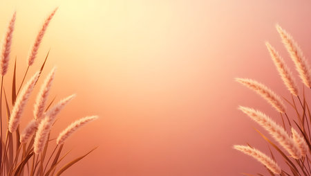 gradient background blending warm sunset orange into soft pink with flowers the border,  purpose for background.の素材