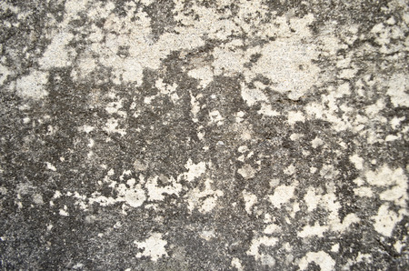 Grunge wall textureの写真素材