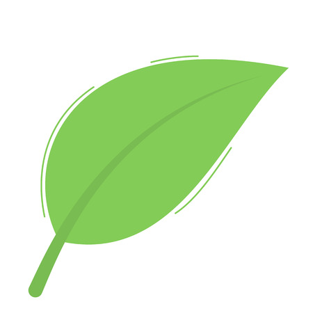 Green leaf isolated on white backgroundのイラスト素材