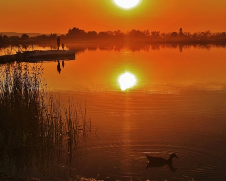 Two pople fishing from a dock on a small pond with a duck in the foreground at sunsetの写真素材