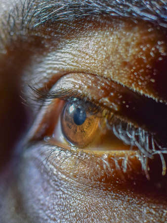 the sunlight is shining through the eyes of a teenage girlのeditorial素材