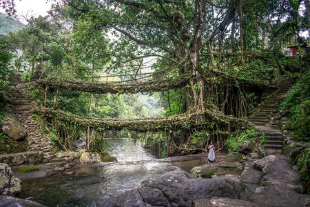 the beautiful scenic waterfall in front of famous double decker root bridge in meghalayaの写真素材