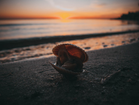 Sunset at sea coast.