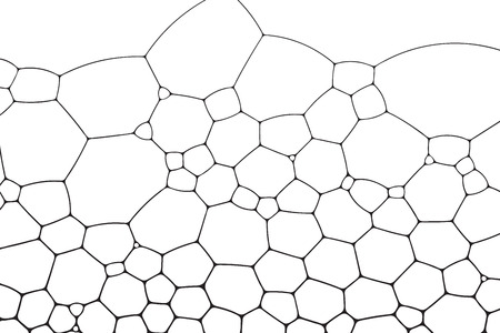Soap bubbles grid for background or textureのイラスト素材