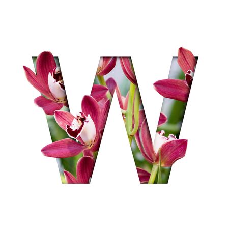 Flower font. Letter W made from natural flowers. Composition of beautiful orchids. Text in the form of tropical plants.の写真素材
