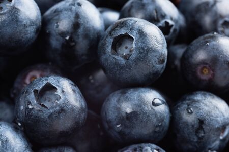 Background of fresh blue berries close-up.の写真素材
