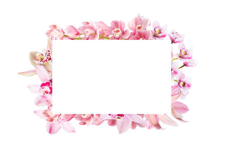 Frame made of flowers. Lovely orchids with copy space