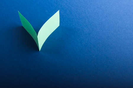 Choice sign. Colored paper in the form of a check mark on blue.の写真素材