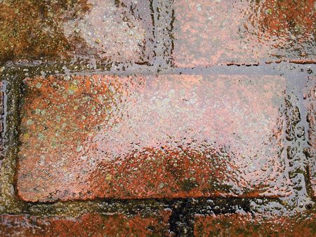 Top down view of wet red brick.の写真素材