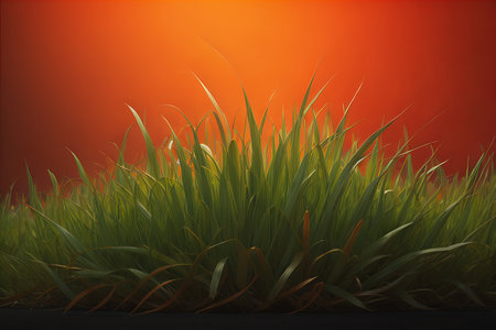 Grass in the field with orange sunset background. generative aiの素材