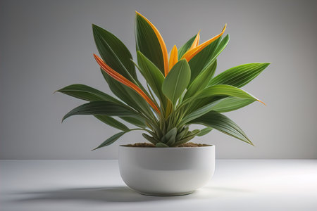 Flowers in a pot on a solid color background. ai generativeの素材