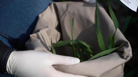 Gardener planting seedlings in a paper bag in the garden