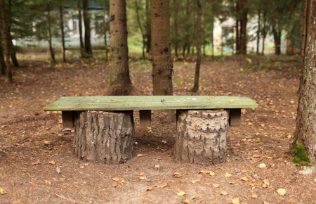 old wooden bench in the forestの写真素材