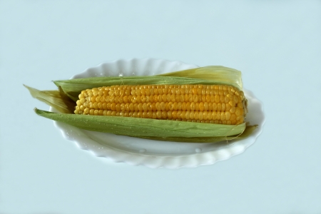 cob is boiled sweet corn on a plateの写真素材