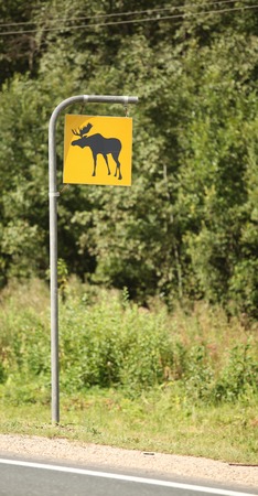 sign indicating the risk of elkの写真素材