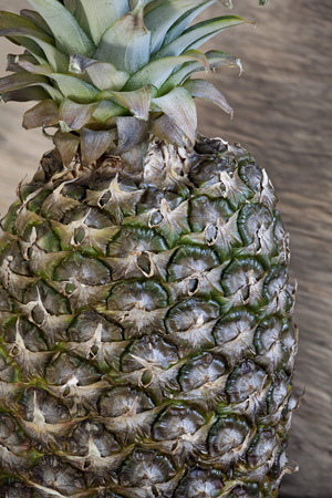 pineapple rough outside delicious sweet inside の写真素材
