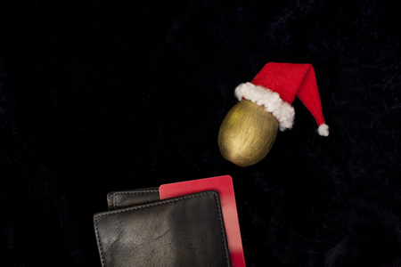 wallet with a bank card, golden egg Santa Claus, a conceptual image of investment income, or bank deposits, profit, wealth, success, holiday, on a dark backgroundの写真素材