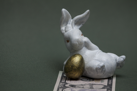 banknote rabbit with golden egg  concept of investment income, retirement savings の写真素材