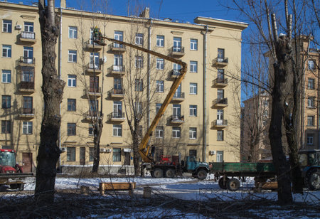 St. Petersburg, Russia, 5 March 2018, gardener cuts off a chainsaw branch old high trees in the cityのeditorial素材