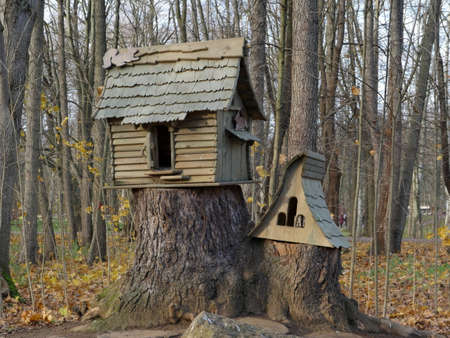 wooden house feeding trough for birds and squirrels in a public parkの写真素材
