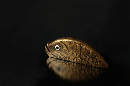 Goldfish, golden reflection, black background, symbol of luckの写真素材