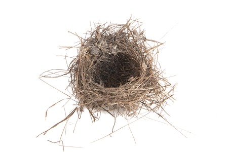 Empty bird nest isolated on white background.の写真素材