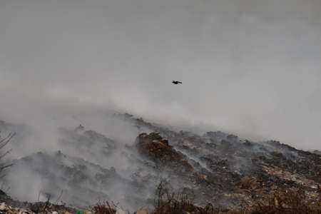 A burning garbage dump. smoke from a burning pile of garbage.