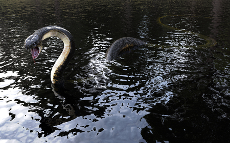3d King cobra snake on water, The world's longest venomous snake isolated on water,3d illustration,...