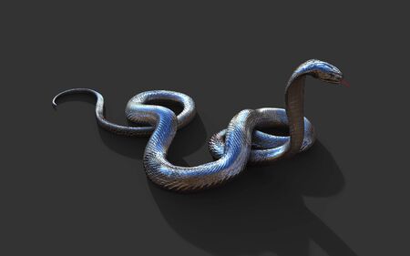 3d Illustration King Cobra The World's Longest Venomous Snake Isolated on Dark Background, King Cobra Snake, 3d Renderingの写真素材
