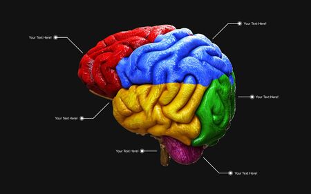 Medically 3d illustration of the human brain in side view isolated on black backgroundの写真素材