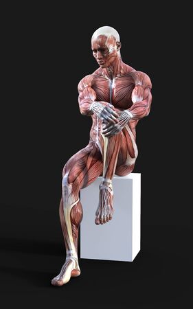 3D render of male figures pose with skin and muscle map on dark