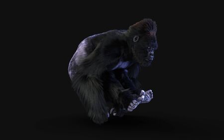 3d Illustration  a silverback gorilla on dark background   .の写真素材