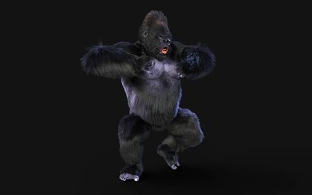 3d Illustration  a silverback gorilla on dark background   .の写真素材