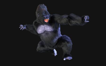 3d Illustration  a silverback gorilla on dark background   .の写真素材